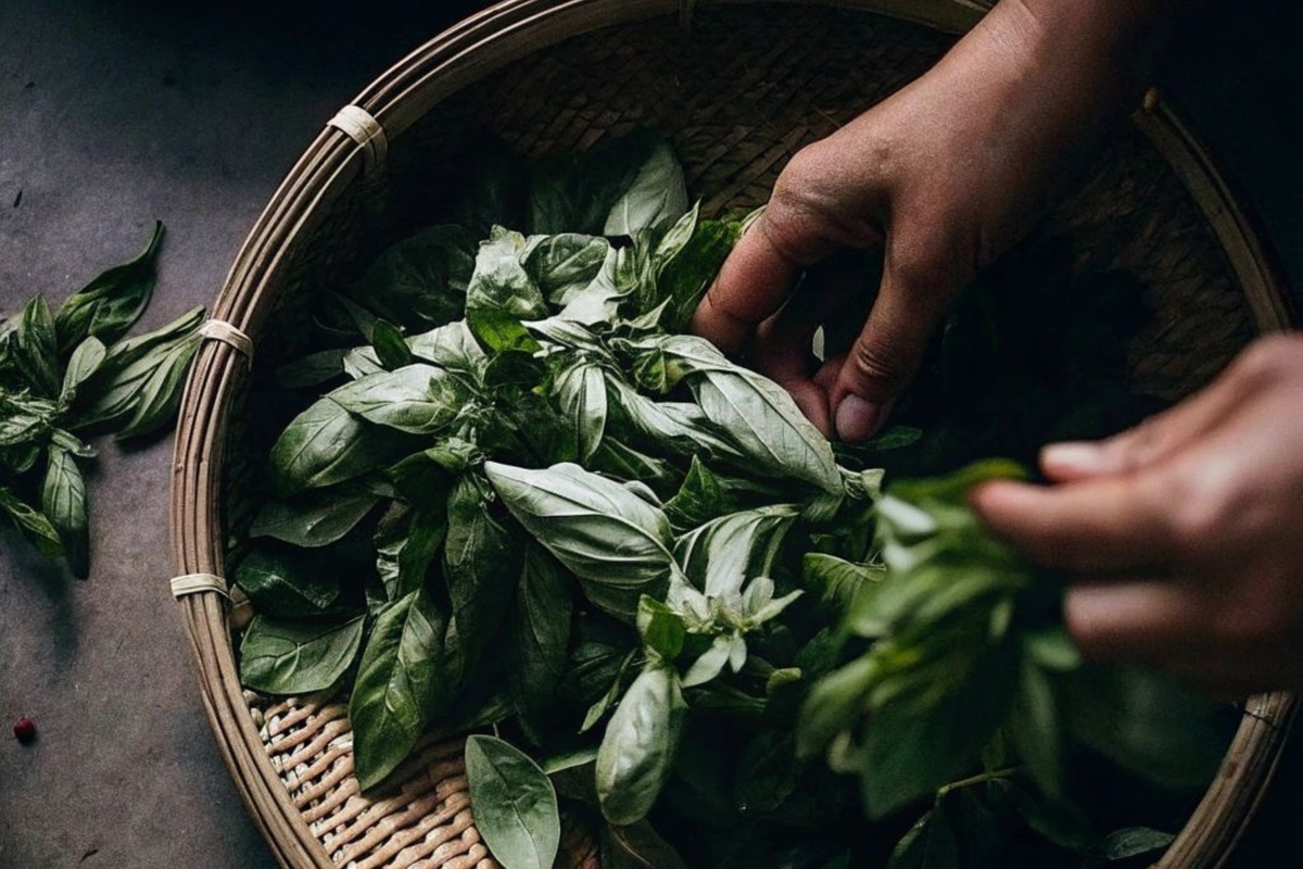Earth-friendly candle materials